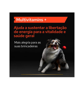 Pro Plan Suplemento Multivitamins Dog